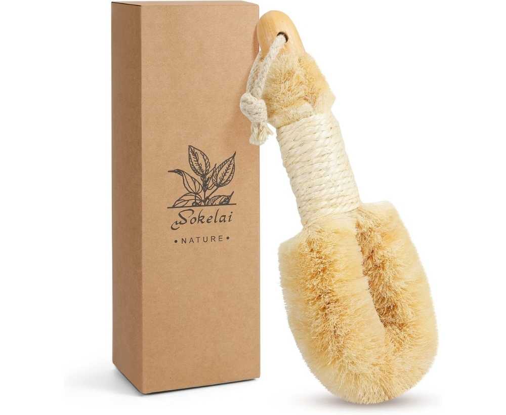 Brosse de brossage à sec Poils en sisal naturel
