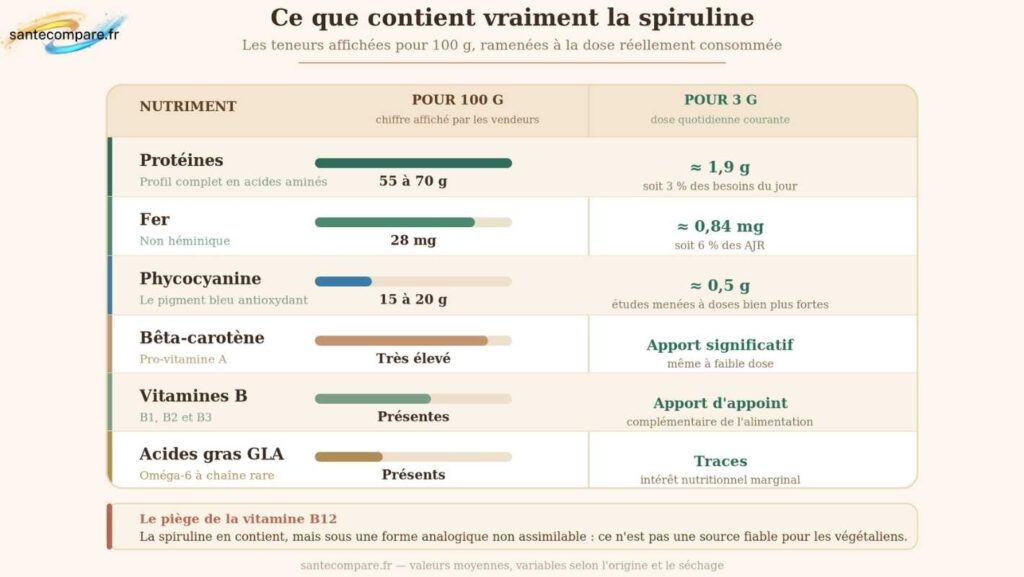 Composition nutritionnelle hors norme de la spiruline