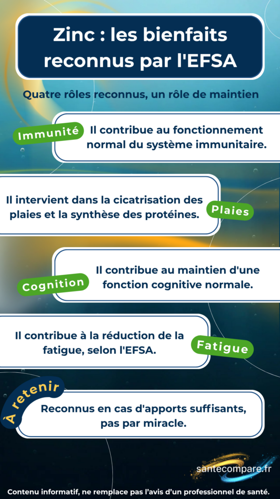 Bienfaits du zinc ce que les études confirment
