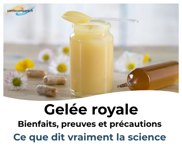 Gelée royale bienfaits, preuves et précautions, ce que dit vraiment la science