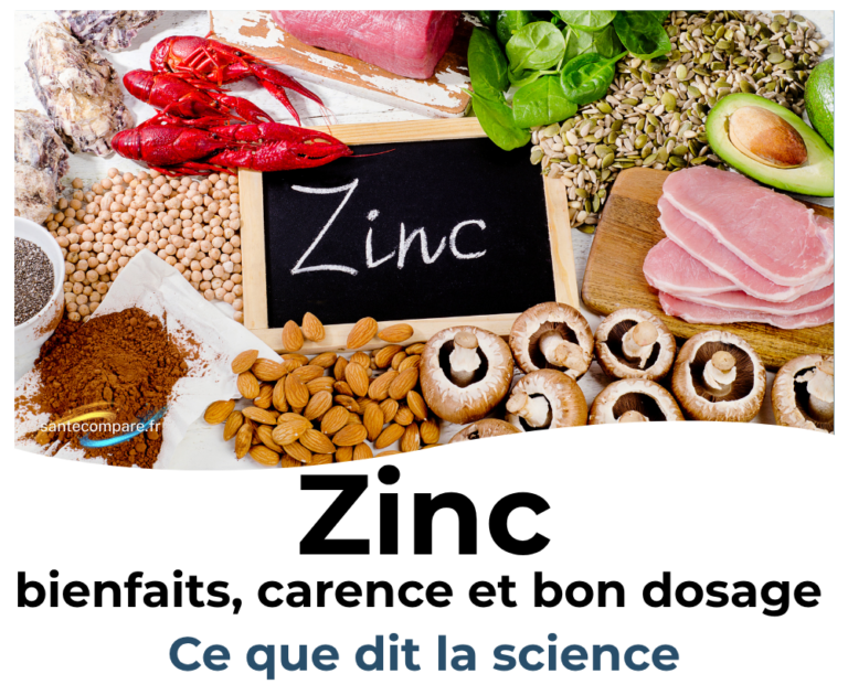 Zinc bienfaits, carence et bon dosage, ce que dit vraiment la science