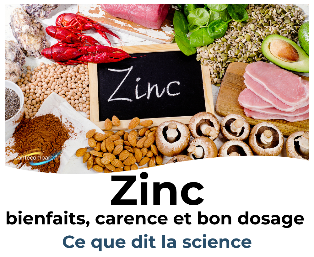 Zinc bienfaits, carence et bon dosage, ce que dit vraiment la science