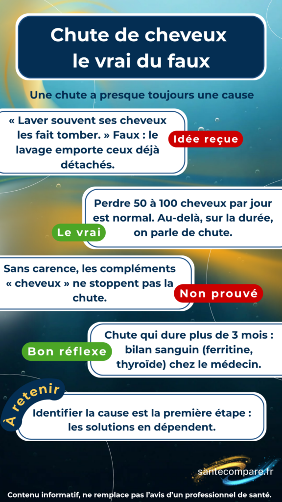 Chute de cheveux le vrai du faux
